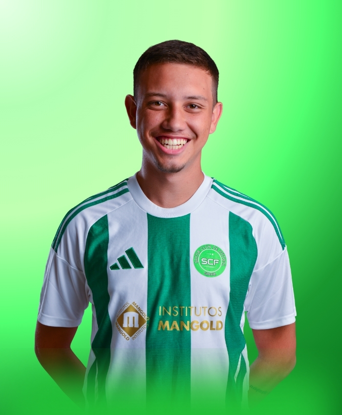 Pedro Henrique Gonçalves rosa Lopes