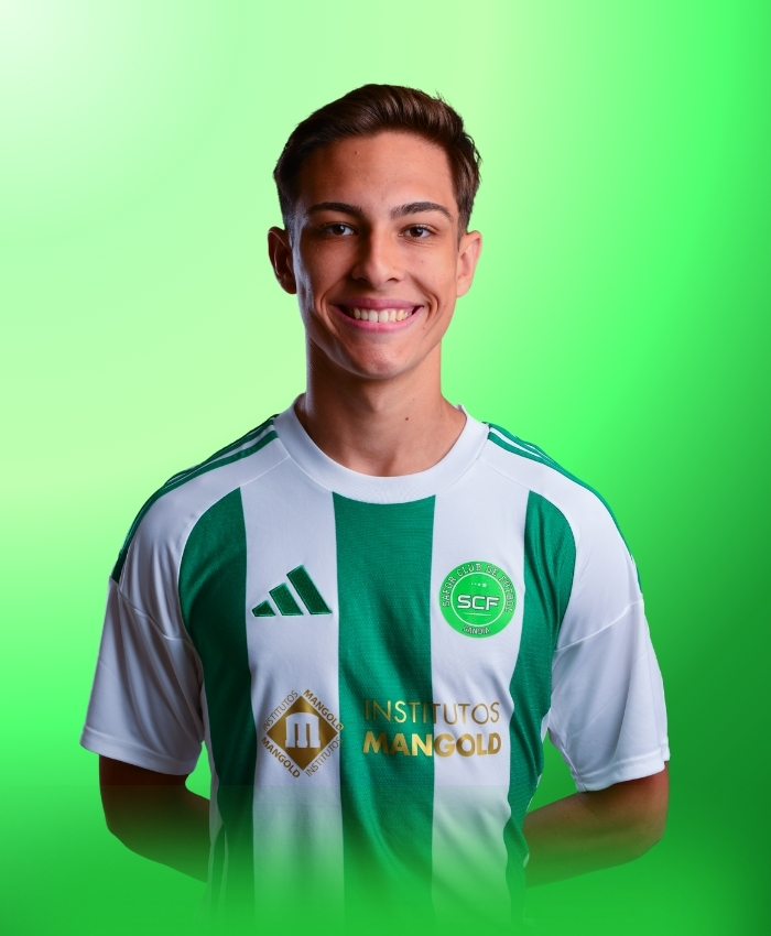 Renan Garbin Leistner