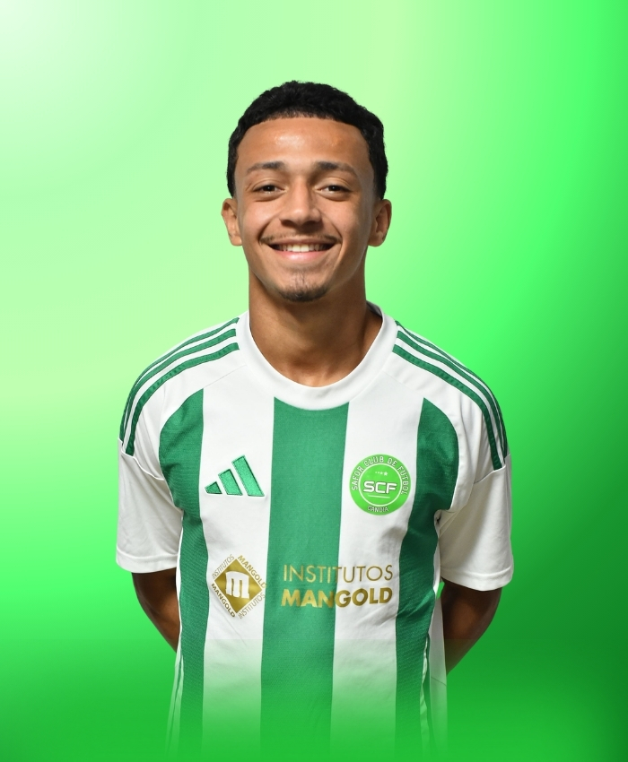Jean Henrique Martins dos Santos Domingos Junior